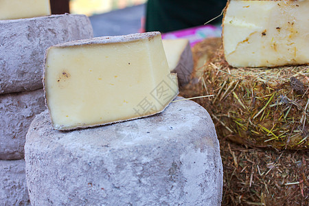 意大利奶酪羊乳农业干草食物美食干酪熟食美味奶制品生产图片