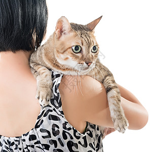 亚洲女人抓着她的猫动物眼睛宠物虎斑猫科动物哺乳动物数字女士乐趣毛皮图片