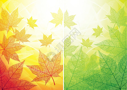 秋秋和夏季背景图片