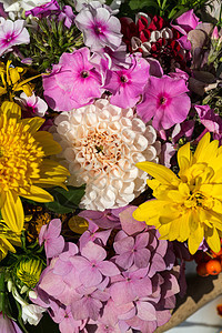 鲜花和草药的美丽花束花园植物甘菊作品绣球花风格装饰收成季节草本植物图片