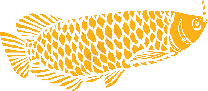 鱼在A水中的鱼绘画珠宝金鱼棕色亮片图像杂草精英背景海藻图片