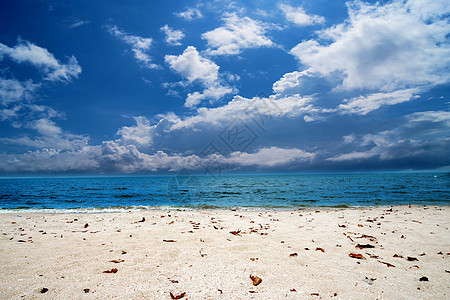 沙滩上有云的蓝天天堂天气宗教气氛白色天空臭氧多云气候蓝色图片