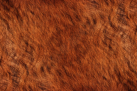 贴近动物彩色毛皮纹理宏观荒野地毯框架棕色材料皮肤外套猫科情调图片