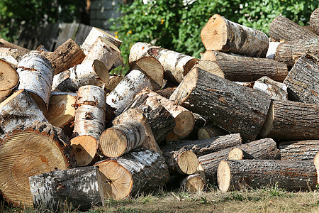 堆积的干柴木原木 自然背景图片