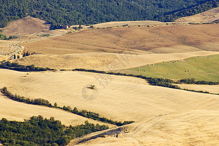 对意大利夏季托斯卡尼典型风景的看法农村全景森林阴影草地环境植物场地场景国家图片