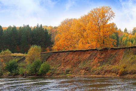 河流岸边的成熟森林及其在Th中的反映池塘银行季节蓝色反射支撑场景金子天空公园图片