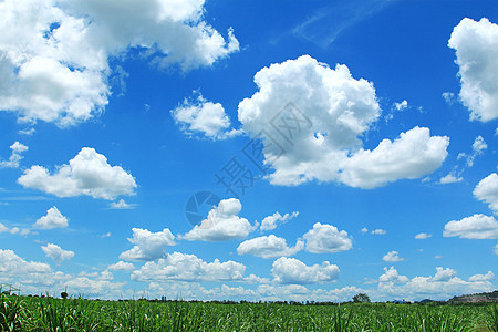 蓝天空背景上的字段Name季节环境阳光风景农场绿色多云天气蓝色土地图片