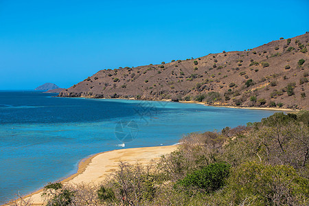 科莫多岛阳光旅游海岸海洋爬坡公园热带旅行蓝色晴天图片