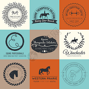 Equine 标准牧场贴纸证书徽章标识插图舞步骑马兽医商业图片