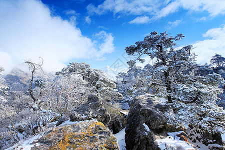 山上云层的移动 孔德里 喜马拉雅 内蓝色天空全景山脉白色旅行薄雾顶峰冰川图片