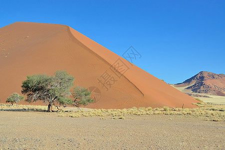 索苏夫莱附近的草地 沙丘和山地纳米布沙漠橙子风景荒野漫滩干旱孤独图片