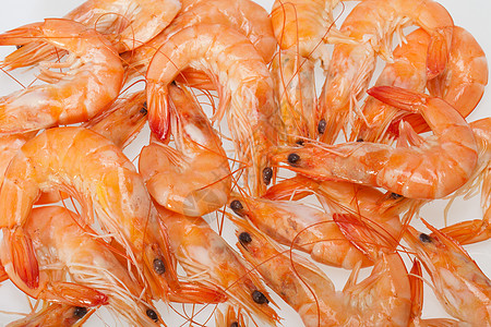 在白色背景上被孤立的新鲜虾美食食物红色甲壳餐厅橙子贝类水平粉色盘子图片