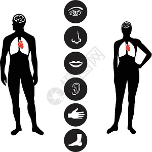 医学人体部分图标图片