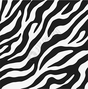 斑马的抽象皮肤纹理皮革条纹墙纸毛皮衣服野生动物动物群线条隐藏打印图片