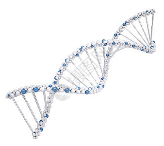 白色DNA链条说明染色体螺旋蓝色插图背景图片