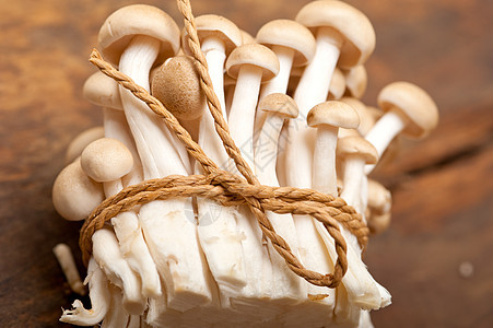 新鲜野生蘑菇美食木头荒野厨房营养菌类宏观乡村蔬菜桌子图片