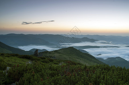 山高山区地貌土地葡萄园天空全景松树高地小路农村草地日落图片