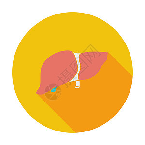 肝脏图标设计医疗绘画酒精卫生插图肝硬化卡通片生物学元素图片