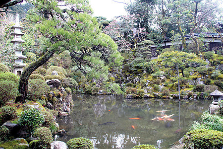 日本寺庙花园建筑场景公园旅行花园岩石森林佛教徒石头文化图片