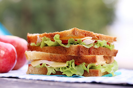 美味三明治小麦餐巾叶子蔬菜午餐营养火腿包子水果饮食图片