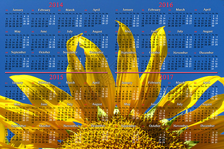 2015年日历 有向日向日葵天空日记数字密码农业时间花蜜日程商业蓝色图片
