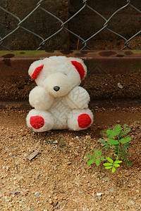 洋娃娃和人偶2情感孤独地面丢弃绿色寂寞植物玩具栅栏图片