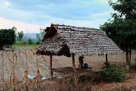 莫特小屋图片