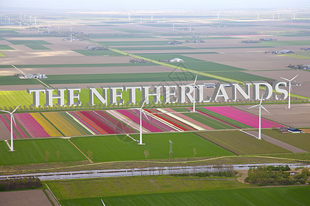 荷兰与荷兰的上方荷兰彩色花朵田 3d图片