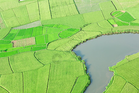 越南Bac Son的稻田地质学土地种植园生长阴谋文化农场溪流曲线农业背景图片