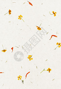 手工制作花花瓣纸质艺术纤维床单剪贴簿卡片花朵叶子墙纸花瓣羊皮纸图片
