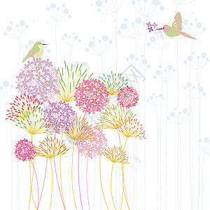 色彩多彩的蜂鸟和花朵图片