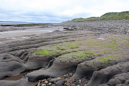 Beal海滩的绿泥滩和大沙丘海洋环境石头大肠杆菌风景支撑生态藻类海岸线河口图片