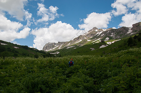 高加索自然保护区壮丽的山地风景图全景高度蓝色森林植被植物群土地树木石头阳光图片