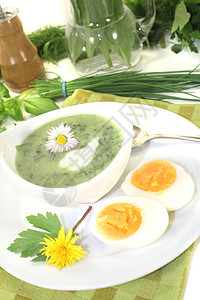 配鸡蛋的绿草药汤韭菜乡村生活绿色木蒜草药水芹烹饪专业野菜图片