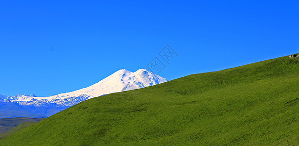 埃尔布鲁斯山是欧洲最高的顶峰绿色植物蓝色阳光自由爬坡植物群草原国家哺乳动物农村图片