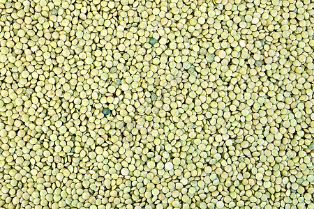 绿色纹理水平扁豆种子豆类团体植物谷物生活玉米蔬菜图片