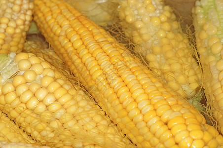 在水密闭中做玉米烹饪的COB早餐饮食小吃粮食农业宏观农场植物食物美食图片