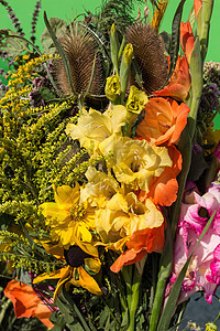 鲜花和草药的美丽花束季节风格薄荷作品雏菊绣球花装饰植物群植物吸附图片