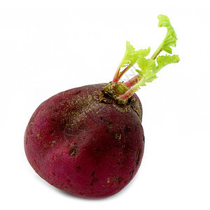 白背景上孤立叶子的萝卜幼苗白色沙拉水果红色烹饪蔬菜绿色食物营养紫色图片