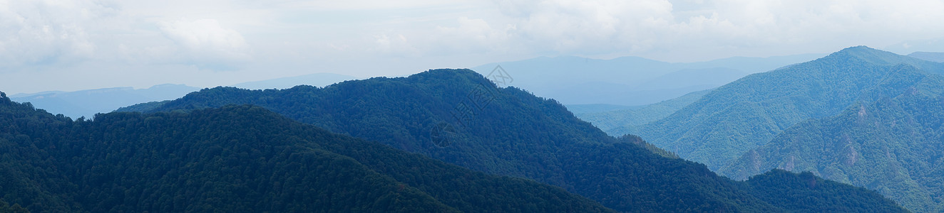 无标题山峰花朵旅游天空植物木头旅行青菜草甸石头图片