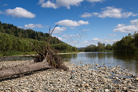 山山河场景森林绿色树木石头蓝色溪流叶子天空卵石图片