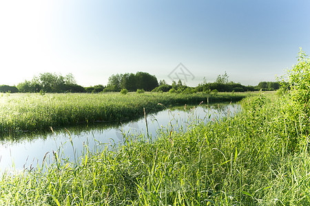 夏季风景森林草地蓝色天空绿色反射图片