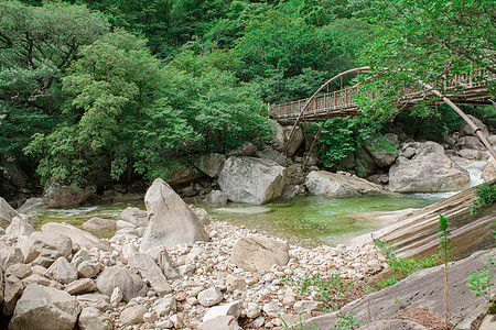 山河上的铁桥建筑休息石头岩石海岸森林绿色植物天空松树图片