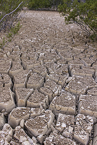 河床干涸全球地面星球自然灾害地球湖底环境沙漠湖床气候变化图片