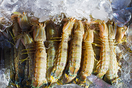 虾觉醒派对厨房海洋晚餐市场风景海鲜抹茶远景图片