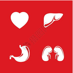 人类内部器官矢量图标集生物学手术医生生物生活科学身体药品外科财富图片