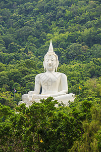 大佛白色大佛色 在寺庙地标信仰雕像精神宗教旅游雕塑佛教徒旅行微笑图片