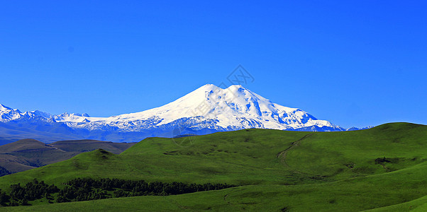 埃尔布鲁斯山是欧洲最高的顶峰哺乳动物自由植物群风景草原国家绿色植物牧场农村爬坡图片
