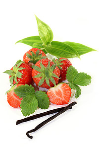 草莓香草芳香香草甜点香气烘烤异国情调树叶烹饪白色图片