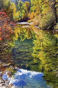 华盛顿Wenatchee河瀑布颜色反射木头蓝色场景季节性森林树木风景乡村树叶绿色图片